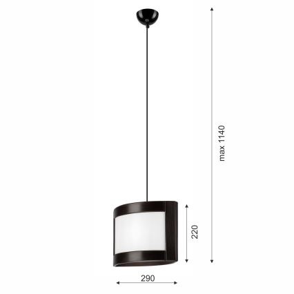 Hanglamp aan een koord ELODIE 1xE27/60W/230V eiken