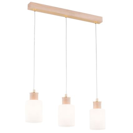 Hanglamp aan een koord EVIC 3xE27/60W/230V