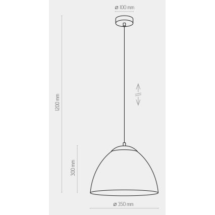 Hanglamp aan een koord FARO 1xE27/60W/230V grijs