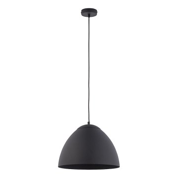 Hanglamp aan een koord FARO 1xE27/60W/230V zwart