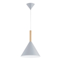 Hanglamp aan een koord FUKS 1xE27/15W/230V grijs/beige