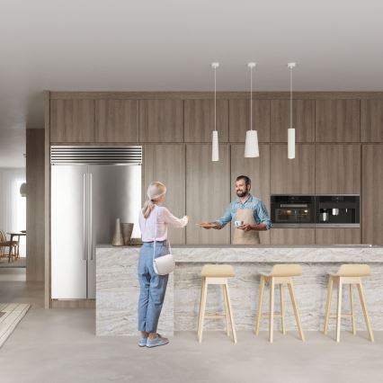 Hanglamp aan een koord GULCAN 1xE27/60W/230V