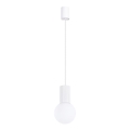 Hanglamp aan een koord HALO 1xG9/8W/230V diameter 12 cm wit