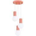 Hanglamp aan een koord HALO 3xG9/8W/230V diameter 25 cm roze