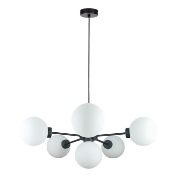 Hanglamp aan een koord KALIOPE 6xE14/50W/230V zwart/wit
