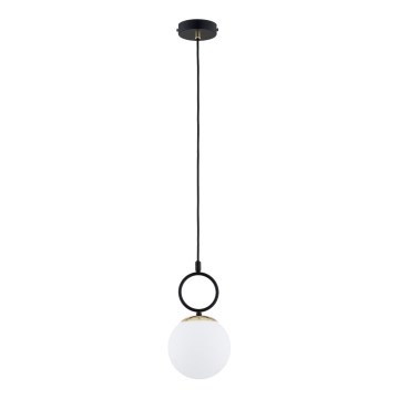 Hanglamp aan een koord LISTER 1xE14/10W/230V zwart/wit