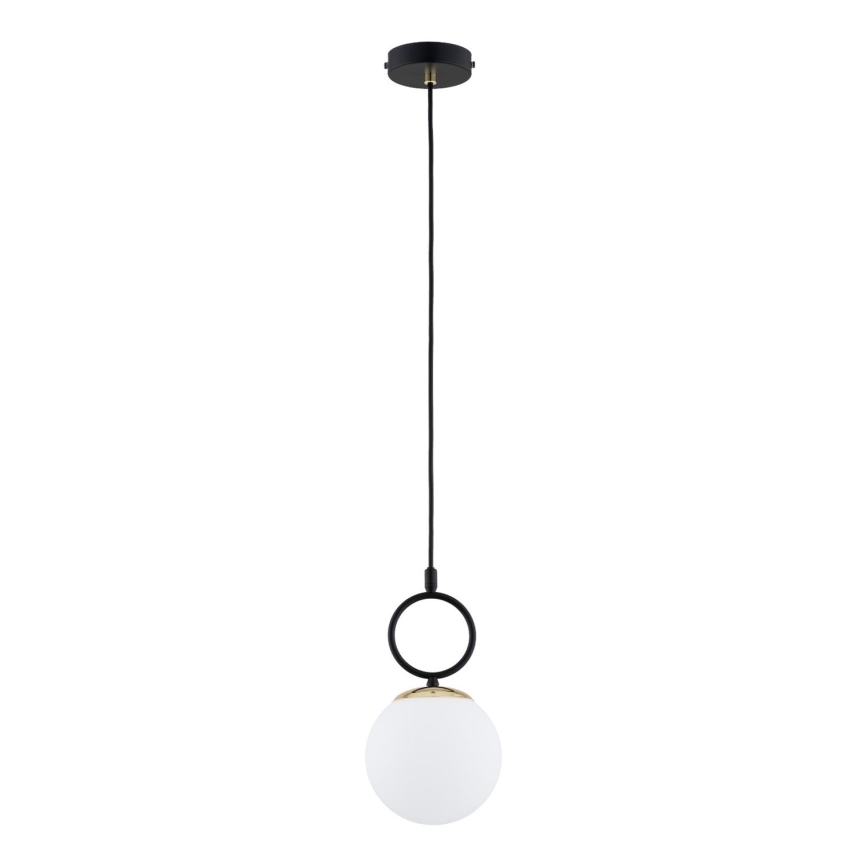 Hanglamp aan een koord LISTER 1xE14/10W/230V zwart/wit