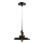 Hanglamp aan een koord LOFT 1xE27/60W/230V diameter 22 cm zwart