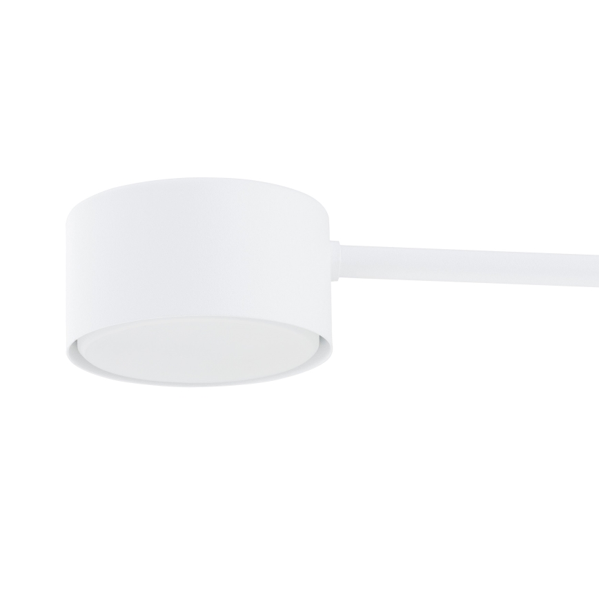 Hanglamp aan een koord MODUS 6xGX53/10W/230V wit