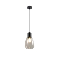 Hanglamp aan een koord MOLDO 1xE27/40W/230V zwart/doorzichtig