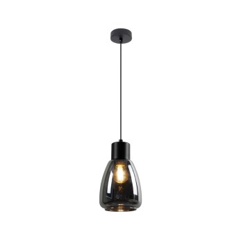 Hanglamp aan een koord MOLDO 1xE27/40W/230V zwart/gerookt zwart