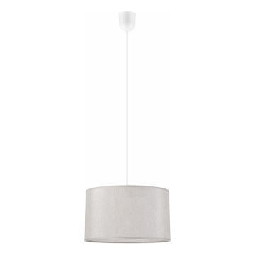 Hanglamp aan een koord MONTE 1xE27/60W/230V zilver