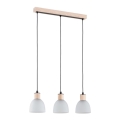 Hanglamp aan een koord NATUR 3xE27/60W/230V