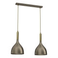 Hanglamp aan een koord NOAK 2xE27/15W/230V messing/goud