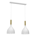Hanglamp aan een koord NOAK 2xE27/15W/230V wit/goud
