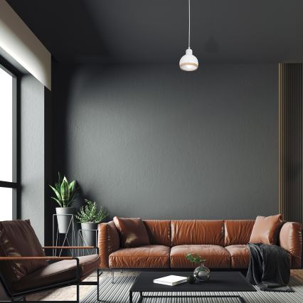 Hanglamp aan een koord OVAL 1xE27/60W/230V wit