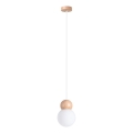 Hanglamp aan een koord PEKKA 1xG9/8W/230V wit