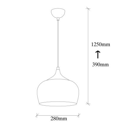 Hanglamp aan een koord SAGLAM 1xE27/40W/230V