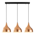 Hanglamp aan een koord SAGLAM 3xE27/40W/230V