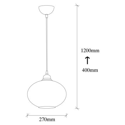 Hanglamp aan een koord SMOKED 1xE27/40W/230V