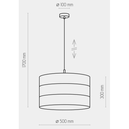 Hanglamp aan een koord TAGO 1xE27/25W/230V zwart/goud