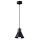 Hanglamp aan een koord TALEJA 1xE27/60W/230V zwart