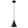 Hanglamp aan een koord TALEJA 1xES111/60W/230V zwart
