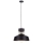 Hanglamp aan een koord TITANIUM 1xE27/60W/230V zwart/goud