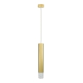 Hanglamp aan een koord TUBI 1xGU10/8W/230V goud