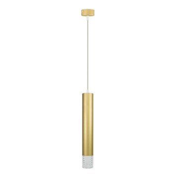 Hanglamp aan een koord TUBI 1xGU10/8W/230V goud