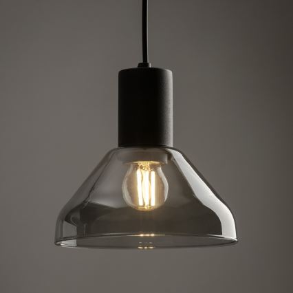 Hanglamp aan een koord voor 1-fase railsysteem NEO 1xE27/15W/230V zwart/gerookt zwart