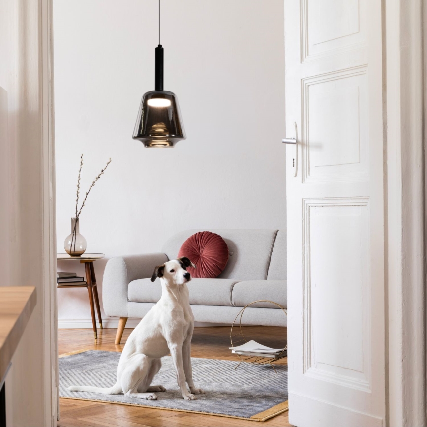 Hanglamp aan kabel BUENO 1xGX53/9W/230V Ø 18 cm rookzwart