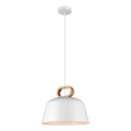 Hanglamp aan kabel CLIP 1xE27/40W/230V wit/bruin