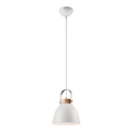 Hanglamp aan kabel DANIELLE 1xE27/60W/230V beuken