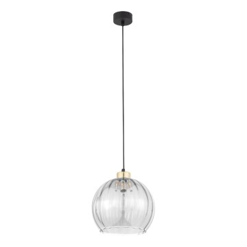 Hanglamp aan kabel DEVI 1xE27/15W/230V zwart/helder