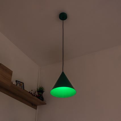 Hanglamp aan kabel ETNA II 1xE27/15W/230V Ø 25 cm groen