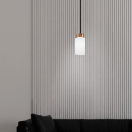 Hanglamp aan kabel MARKUS 1xE27/15W/230V zwart/eiken