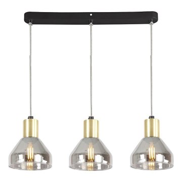 Hanglamp aan koord GREGORY 3xE14/40W/230V