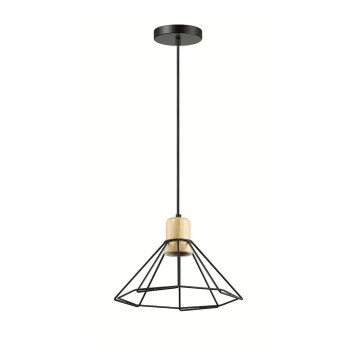 Hanglamp aan koord LOFT 1x E27 / 60W / 230V