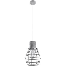 Hanglamp aan koord LUGO 1xE27/60W/230V zwart/grijs