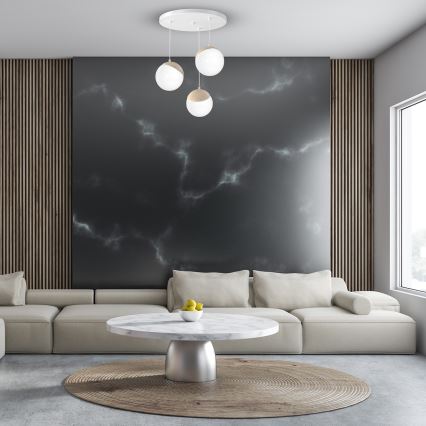 Hanglamp aan koord SFERA WOOD 3xE14/40W/230V