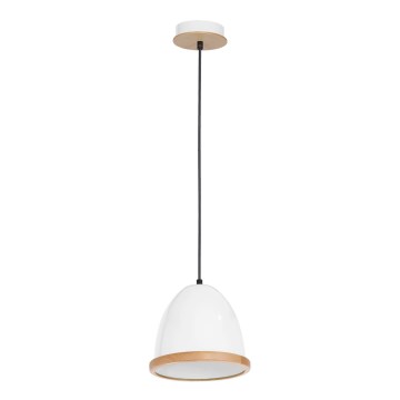 Hanglamp aan koord STUDIO 1xE27/60W/230V