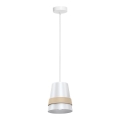 Hanglamp aan koord VENEZIA 1x E27 / 60W / 230V