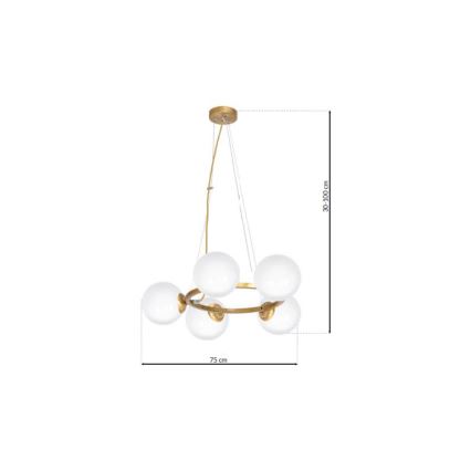 Hanglamp aan koord VIENNA 5xE14/40W/230V