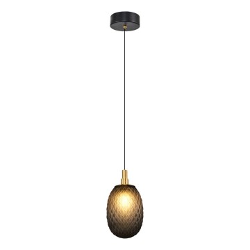 Hanglamp aan snoer CACTUS 1xG9/5W/230V zwart
