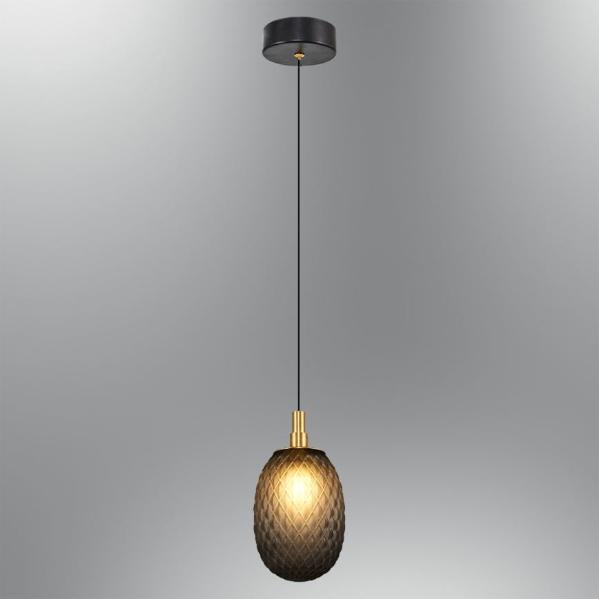 Hanglamp aan snoer CACTUS 1xG9/5W/230V zwart