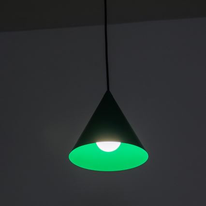 Hanglamp aan snoer ETNA II 1xE27/15W/230V Ø 18,5 cm groen
