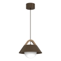 Hanglamp aan snoer FUNDA 1xE27/15W/230V bruin