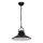 Hanglamp IRON 1 1xE27/60W zwart