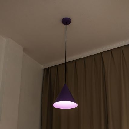 Hanglamp met kabel ETNA II 1xE27/15W/230V Ø 25 cm paars